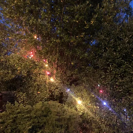 Bed & Breakfast 37 Villenave-dʼOrnon