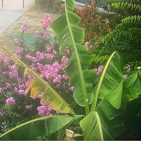 37 3* Villenave-dʼOrnon