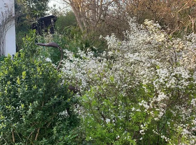 37 فندق مبيت وإفطار