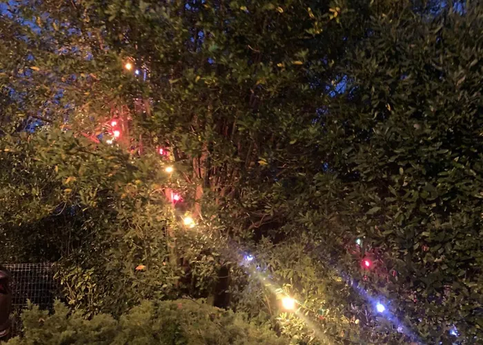 فندق مبيت وإفطار 37 فييُناف دورنو